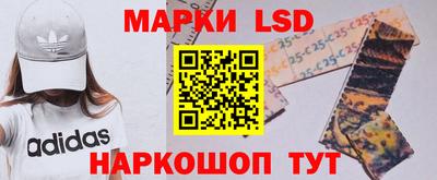 амф Можга