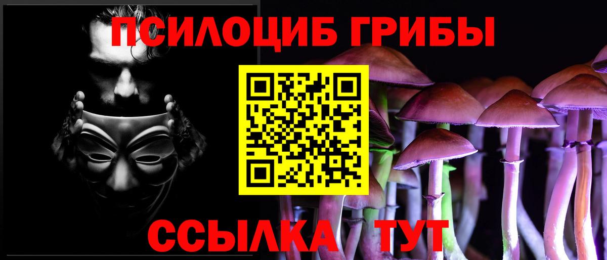 Галлюциногенные грибы GOLDEN TEACHER  Вход с VPN  Богданович  Псилоцибиновые грибы Cubensis 