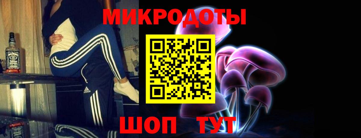 Псилоцибиновые грибы мицелий Богданович